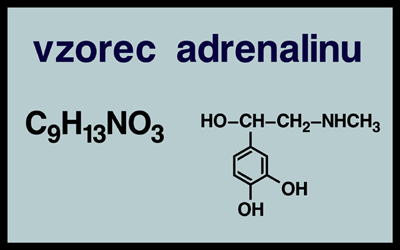 adrenalin